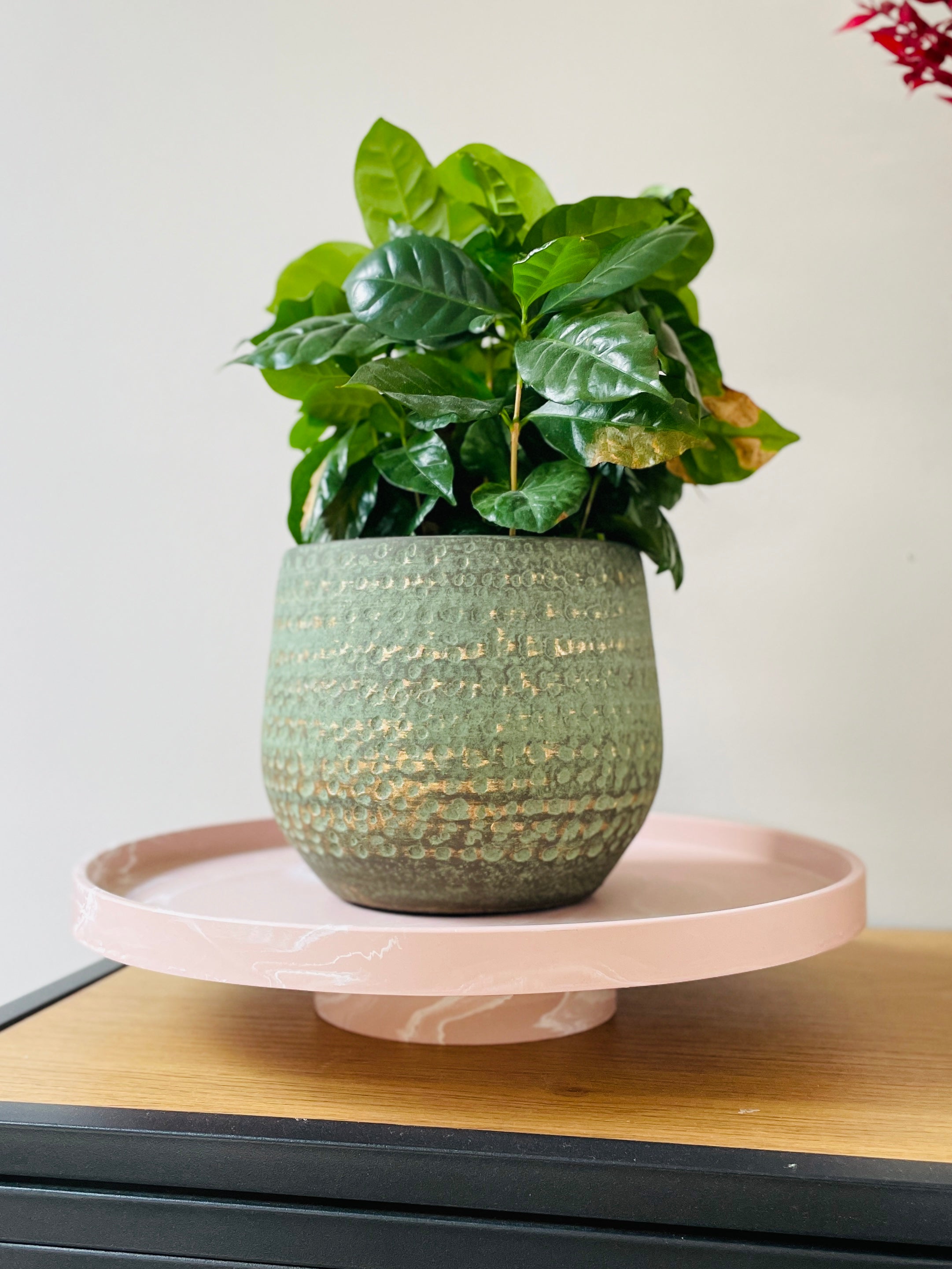 Pedestal