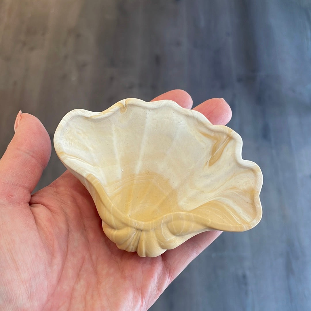 Amy seashell small