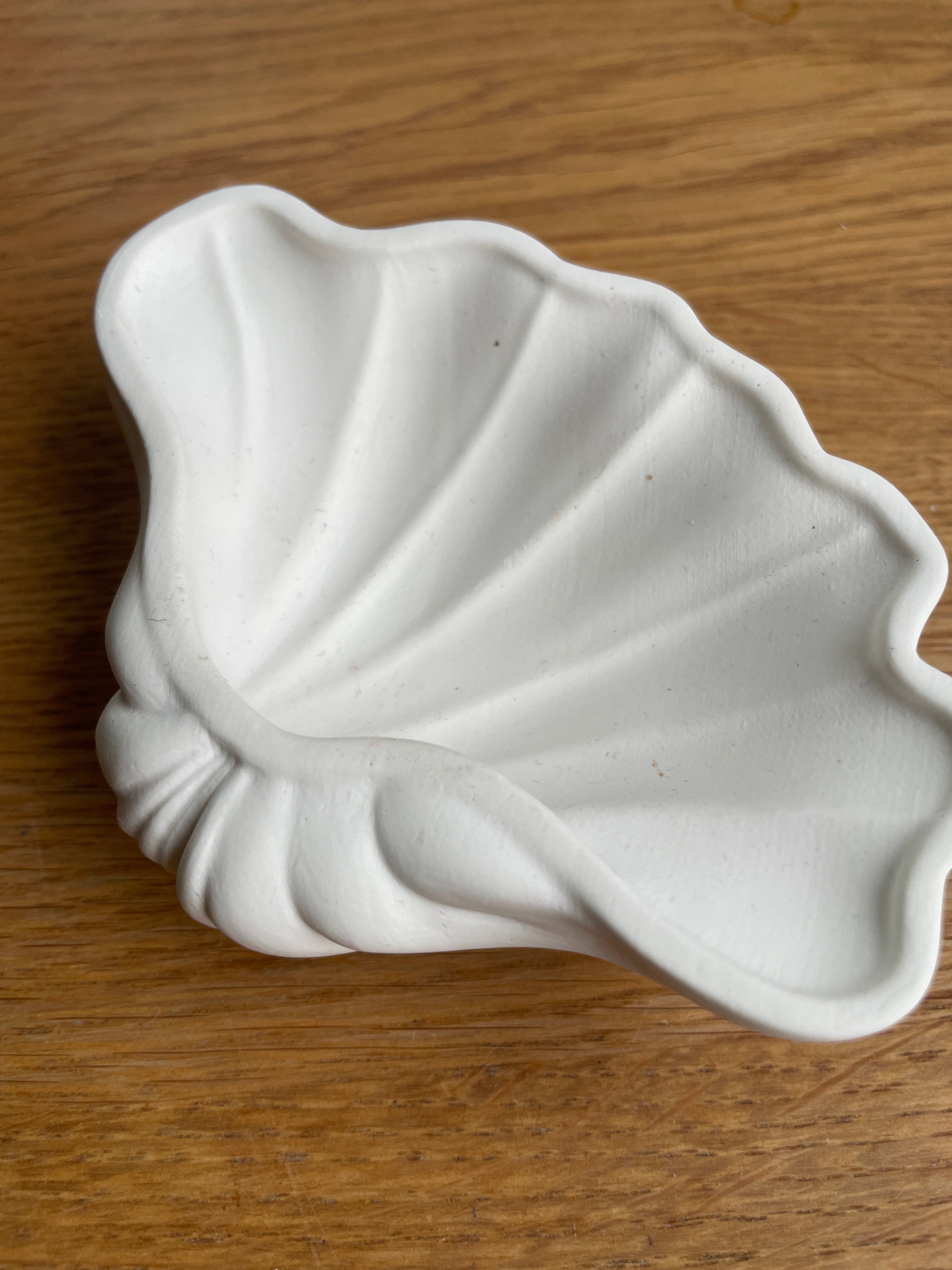 Amy Seashell